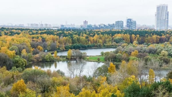 Где в районе Покровское-Стрешнево по программе реновации построят новые дома, аптеки и магазины