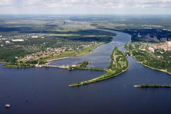 Почти тысячу незаконно захваченных лесных участков выявлено в Подмосковье